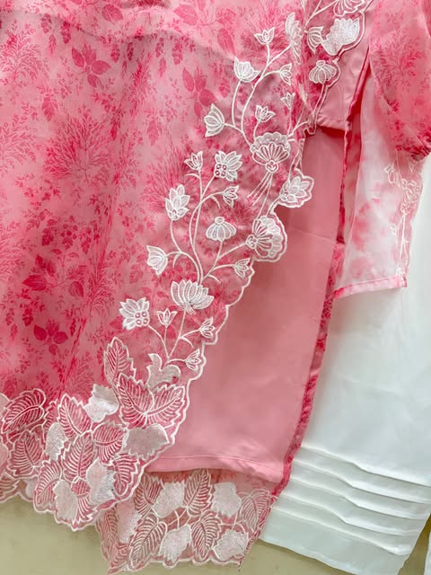 Gorgeous Embroidery & Cutwork on Premium Organza – 3PC Suit