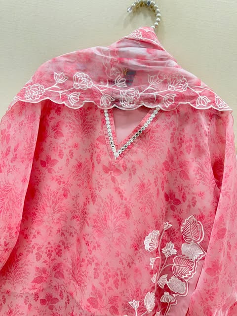Gorgeous Embroidery & Cutwork on Premium Organza – 3PC Suit