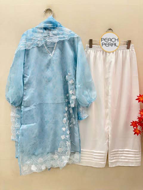 Gorgeous Embroidery & Cutwork on Premium Organza – 3PC Suit